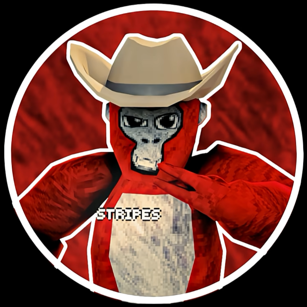 StripesVR Profile Picture